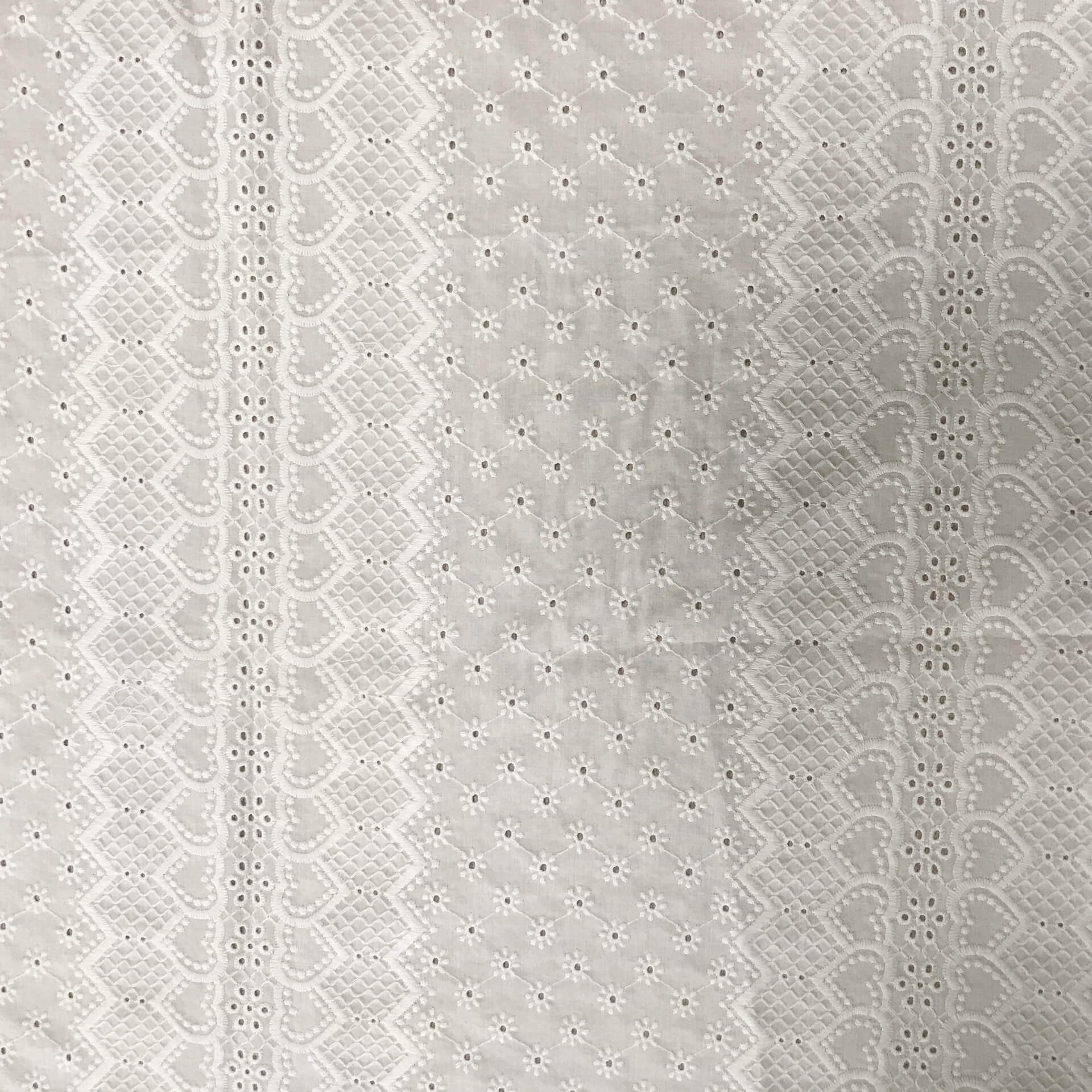 Embroidered Fabric All-Over 100% Cotton for Dress Wholesale Supplier 4